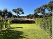 AAFADP878_32229_V0_E6EC.jpg