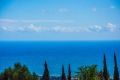 BOMACP364_11454_V0_DFF6.jpg
