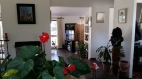 5-3595ad71cbd87be6c3643a4285ef4791.jpg